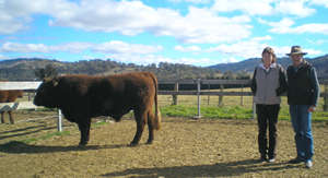 Gerry & Carol Gehrig    Wallarobba via Dungog NSW